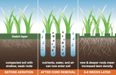 Core Aeration Service Forest Lake, MN